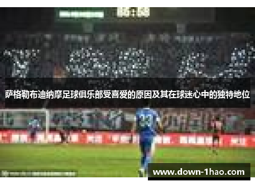 萨格勒布迪纳摩足球俱乐部受喜爱的原因及其在球迷心中的独特地位 萨格勒布迪纳摩足球俱乐部受喜爱的原因及其在球迷心中的独特地位