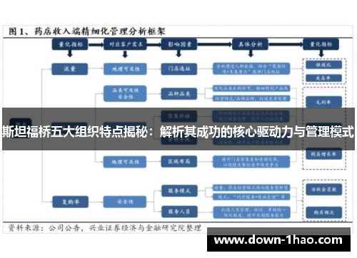 斯坦福桥五大组织特点揭秘:解析其成功的核心驱动力与管理模式 斯坦福桥五大组织特点揭秘:解析其成功的核心驱动力与管理模式