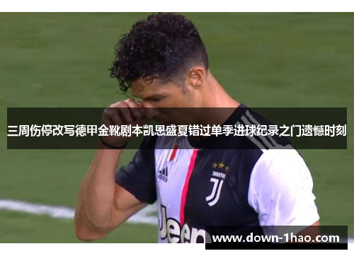 三周伤停改写德甲金靴剧本凯恩盛夏错过单季进球纪录之门遗憾时刻