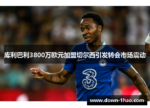 库利巴利3800万欧元加盟切尔西引发转会市场震动 库利巴利3800万欧元加盟切尔西引发转会市场震动