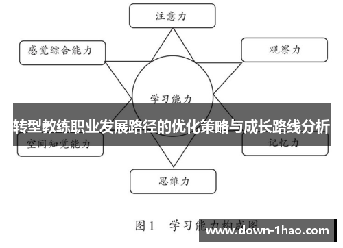 转型教练职业发展路径的优化策略与成长路线分析
