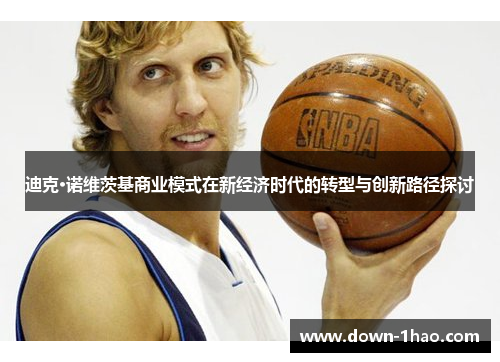 迪克·诺维茨基商业模式在新经济时代的转型与创新路径探讨 迪克·诺维茨基商业模式在新经济时代的转型与创新路径探讨